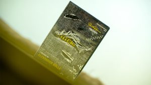 Paul Harris Presents Stitched by Alex Kolle - DVD