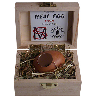 Real Egg (Brown) by Gianfranco Ermini & Stratomagic