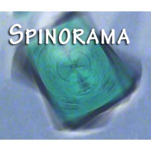 Spinorama by William Lee video DOWNLOAD