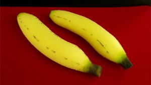 Sponge Bananas (medium/2 pieces) by Alexander May