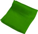 Silk 6 inch (Green) Magic By Gosh