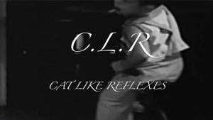 CLR by Dan Hauss video DOWNLOAD