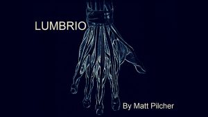 LUMBRIO by Matt Pilcher video DOWNLOAD