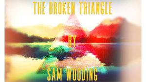 The Broken Triangle by Sam Wooding eBook DOWNLOAD
