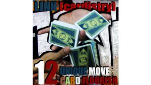 LINK (Cardistry Project) by SaysevenT video DOWNLOAD