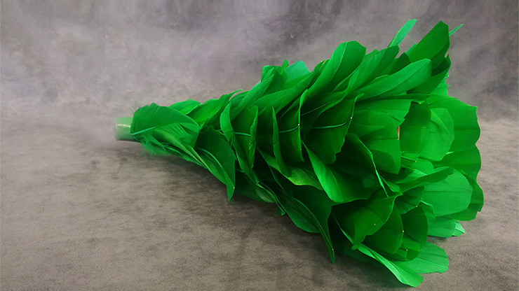 Blooming Bouquet (5 Blooms) by Tora Magic