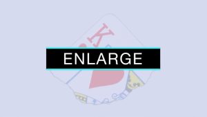 Enlarge ( by SansMinds - DVD