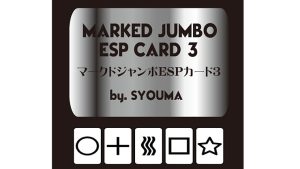 Marked Jumbo ESP Cards (Black) by Tejinaya Magic