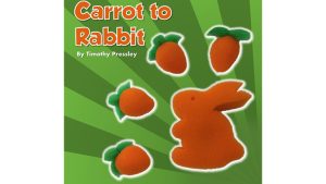Sponge Carrot to Rabbit by Timothy Pressley and Goshman