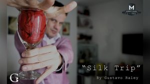 Silk Trip by Gustavo Raley video DOWNLOAD - Download