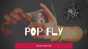 The Vault - Pop Fly by Bizau Cristian video DOWNLOAD - Download