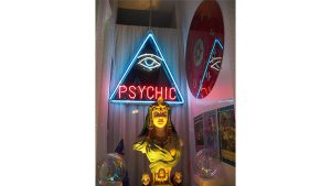 Private Medium & Fortune Tellers Secret Psychic Cold Reading Notebooks by Nathan Demdyke Mixed Media DOWNLOAD - Download