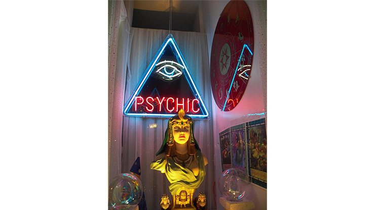 Private Medium & Fortune Tellers Secret Psychic Cold Reading Notebooks by Nathan Demdyke Mixed Media DOWNLOAD - Download
