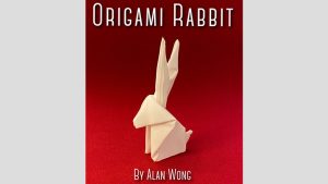 Origami Rabbit by Alan Wong