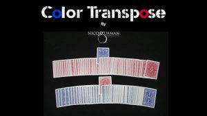 Color Transpose by Nico Guaman video DOWNLOAD - Download