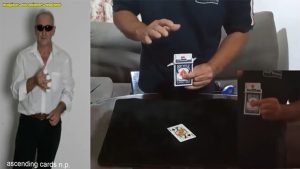Ascending Cards by Salvador Molano video DOWNLOAD - Download