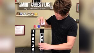 Smart Cubes PLUS (Medium / Parlor) by Taiwan Ben