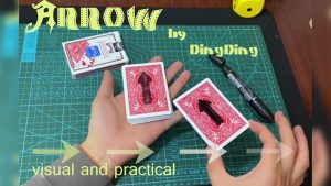 Arrow by DingDing video DOWNLOAD - Download