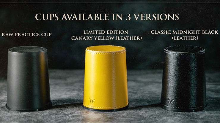 Limited How to Cheat at Dice Yellow Leather (Props and Online Instructions) by Zonte and SansMinds