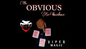 The Obvious Co-Incidence by Viper Magic video DOWNLOAD - Download