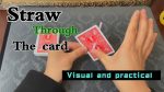 Straw Through The Card by Dingding video DOWNLOAD - Download