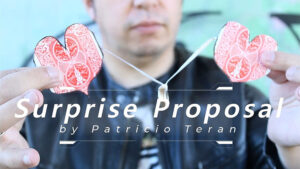 Surprise Proposal by Patricio Teran video DOWNLOAD - Download