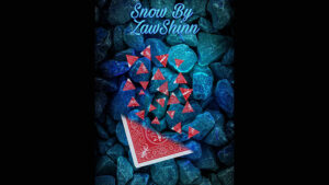 Snow By Zaw Shinn video DOWNLOAD - Download