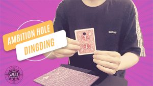 The Vault - Ambition Hole by Dingding video DOWNLOAD - Download
