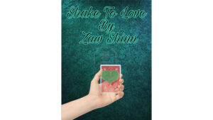 Shake To Love By Zaw Shinn video DOWNLOAD - Download