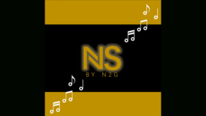 NS SOUND DEVICE (WITH REMOTE) by N2G