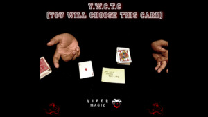 Y.W.C.T.C by Viper Magic video DOWNLOAD - Download