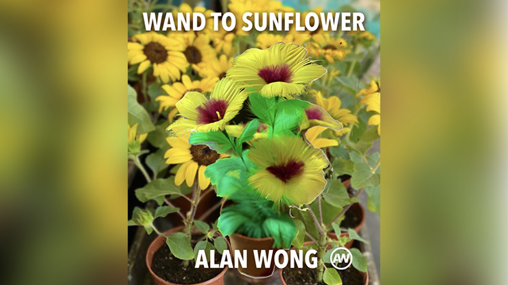 WAND TO SUNFLOWER LARGE by Alan Wong