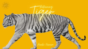 The Vault - Returning Tiger by Aurelio Ferreira video DOWNLOAD - Download