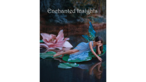 ENCHANTED INSIGHTS RED (Japanese Instruction) by Magic Entertainment Solutions