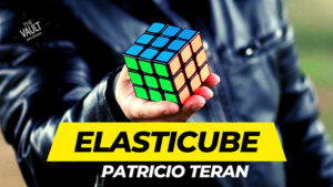The Vault - Elasticube by Patricio Teran video DOWNLOAD - Download