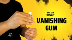 The Vault - Vanishing Gum by Sultan Orazaly video DOWNLOAD - Download