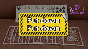 Put down - Put down by Shark Tin and JJ team video DOWNLOAD - Download