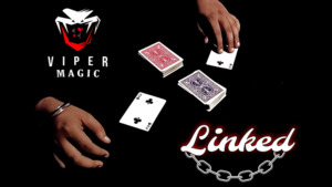 Linked by Viper Magic video DOWNLOAD - Download