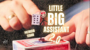 The Vault - Little Big Assistant 2 by Patricio Teran video DOWNLOAD - Download