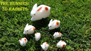 The Bunnies 3D Rabbits (Parents, Kids & Grandpa)