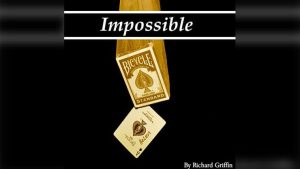 Impossible by Richard Griffin video DOWNLOAD - Download