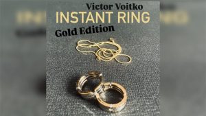 Instant Ring (silver/gold, Size 11) by Viktor Voitko