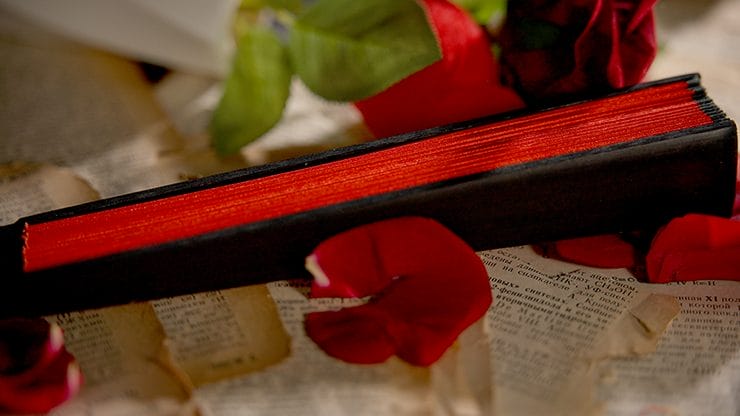The Butterfly by K.Pen & TCC Magic - Image 6