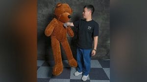 Teddy Bear Appearance (Medium) by MS Magic