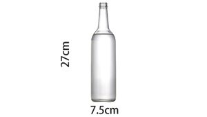 Self Exploding Transparent Beer Bottle (Large) by Wance