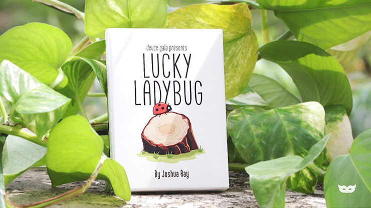 Lucky Ladybug (Leaf) by Joshua Ray & Deuce Gala Magic - Image 5